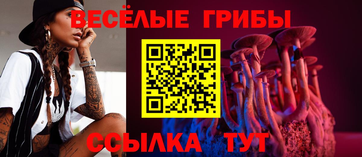 Галлюциногенные грибы прущие грибы Севастополь